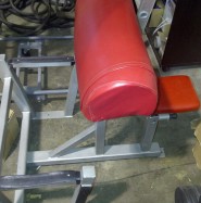 Preacher curl