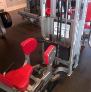 Used cybex abductor