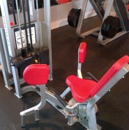 Used cybex hip adductor